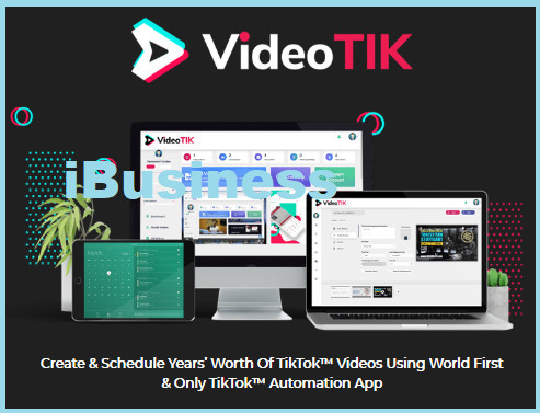 using tiktok for business